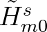 $\tilde{H}_{m0}^s$